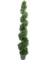 pic17.jpg